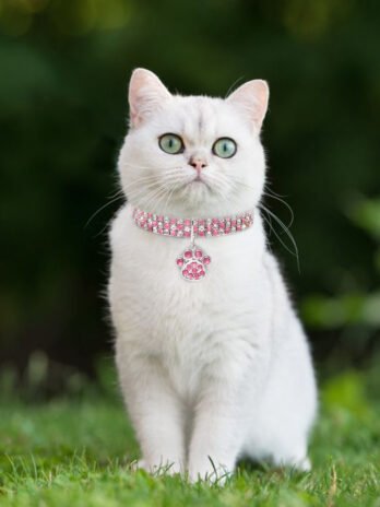 Pet Collar With Diamonds, Mixed-color Cat And Dog Supplies, Cat Claws, Elastic Cat And Dog Necklace Jewelry